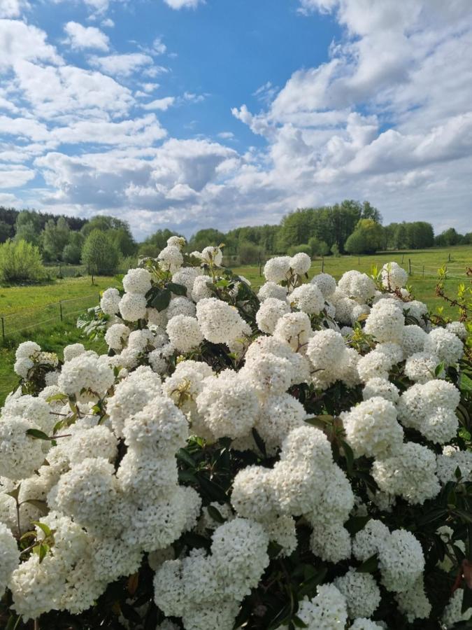 Woodhouse Spreewiesen Burig Екстер'єр фото